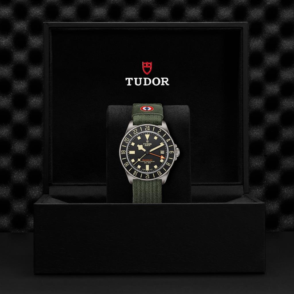 Tudor Pelagos FXD GMT - M2542G247NU-0002