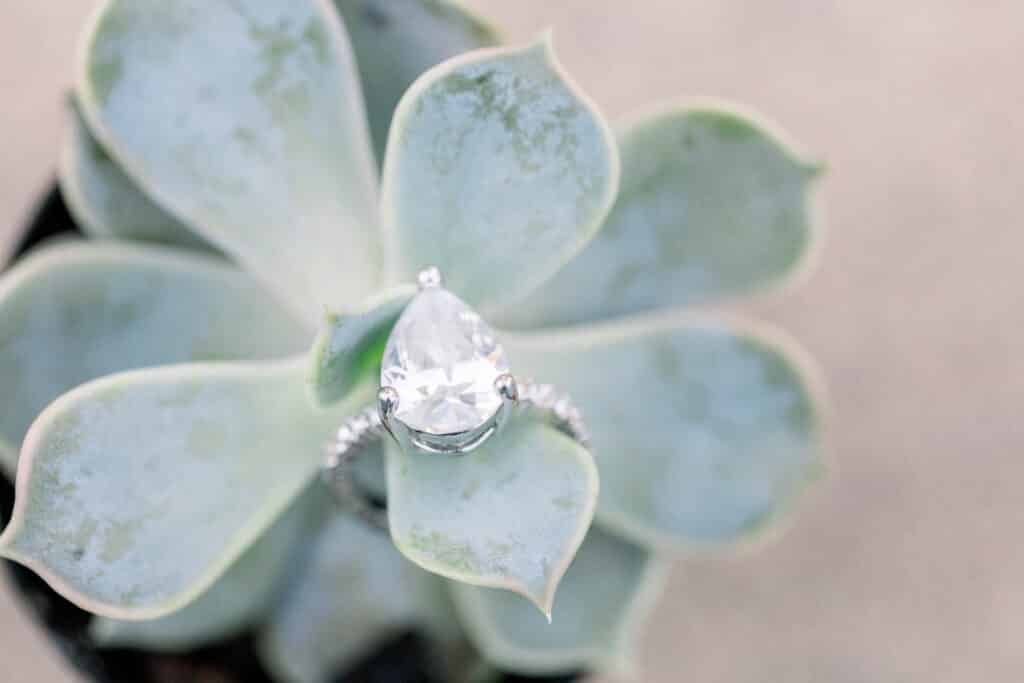 A pear shaped engagement ring resting on the leaf of a succulent plant.